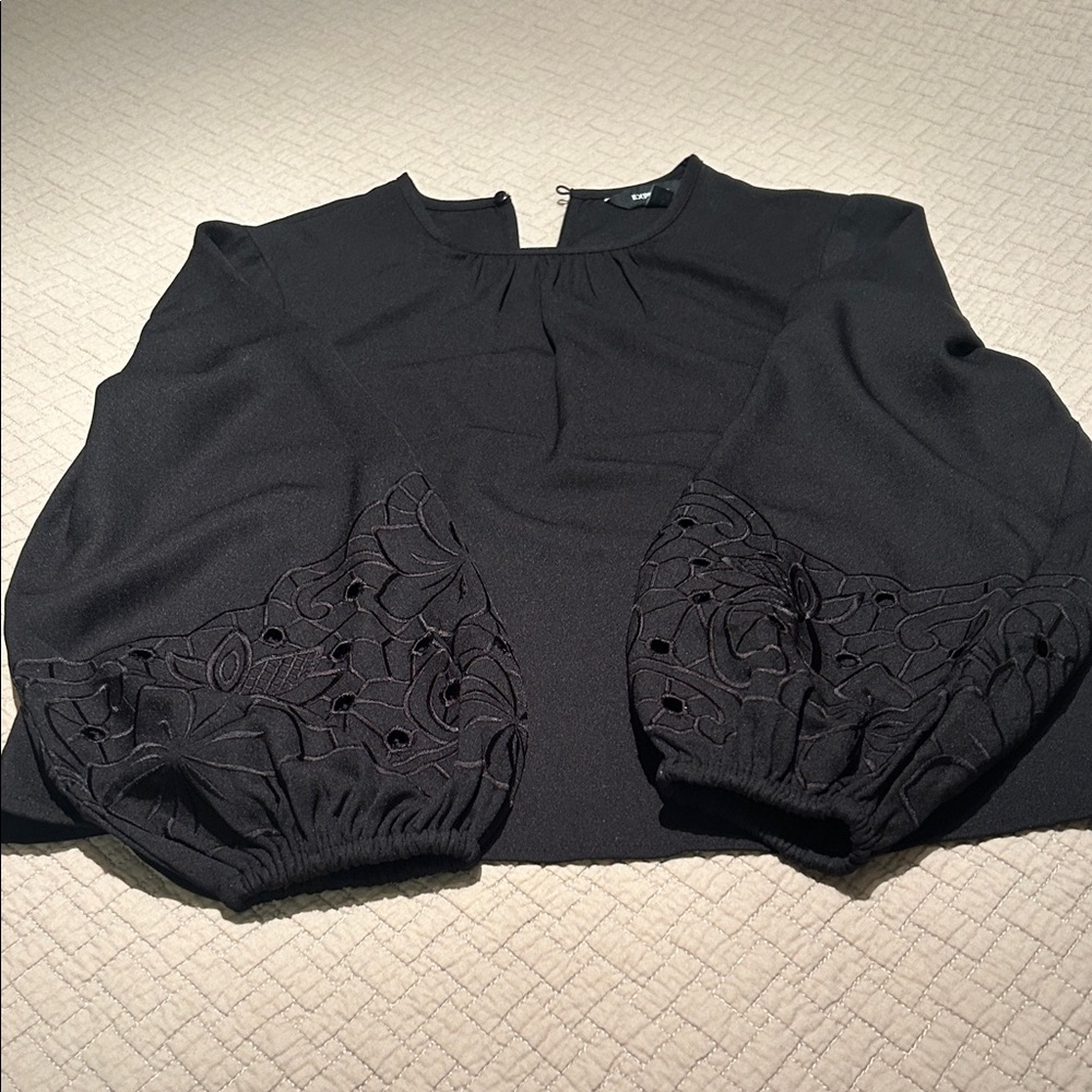 Express Black Embroidered Balloon Sleeve Blouse